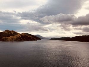 Premiers fjords de la région de Picton - Ile Sud - Nouvelle-Zélande