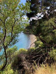 Petite plage cachée depuis notre balade vers Bob's Bay - Picton - Nouvelle-Zélande