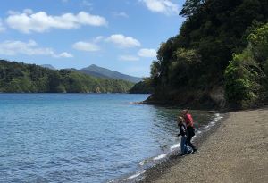 Bob's Bay - Picton - Nouvelle-Zélande
