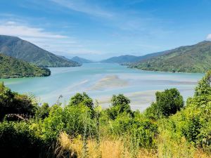 Vue sur la route "Queen Charlotte Scenic Road" - Région de Marlborough - Nouvelle-Zélande
