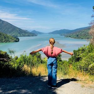 Vue sur la route "Queen Charlotte Scenic Road" - Région de Marlborough - Nouvelle-Zélande
