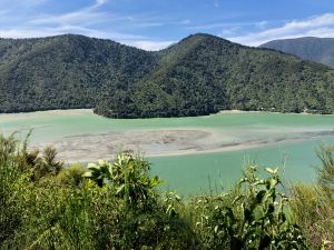 Vue sur la route "Queen Charlotte Scenic Road" - Région de Marlborough - Nouvelle-Zélande
