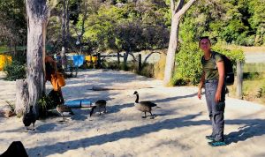 Tiens mais y'a du monde ici - Camping sauvage à Medlands Beach, avec les canards - Parc Abel Tasman - Nouvelle-Zélande