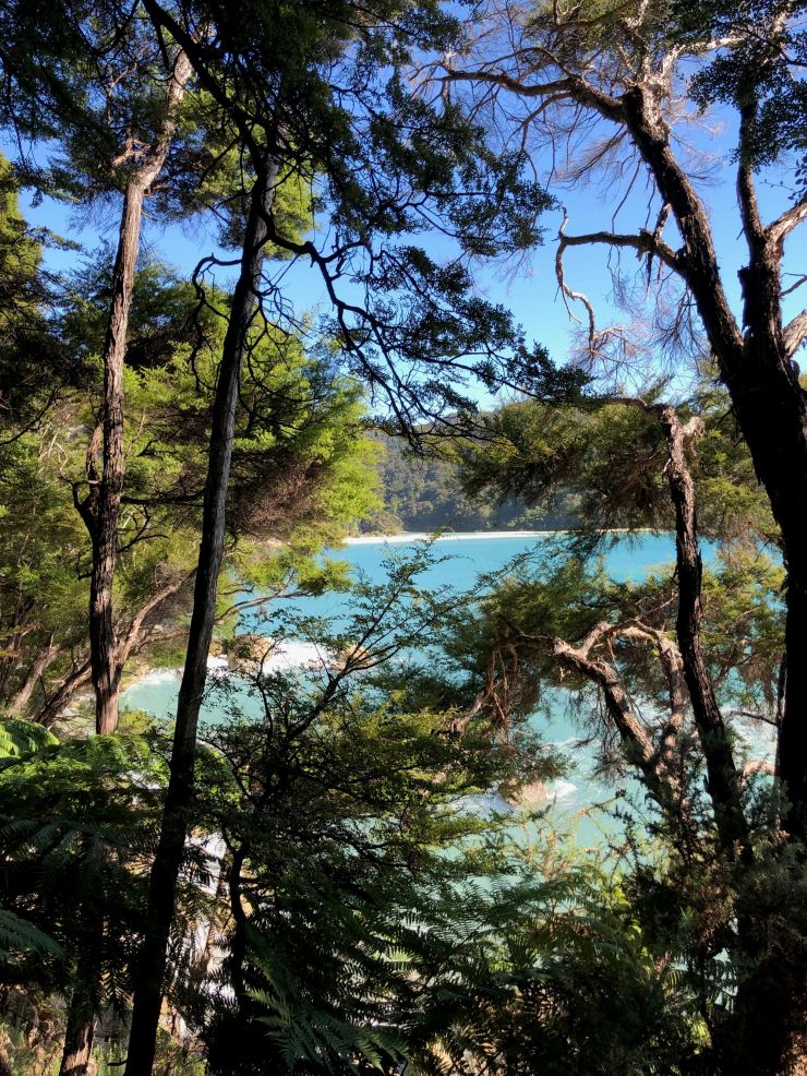 Magnifiques Paysages du parc Abel Tasman - Nouvelle-Zélande