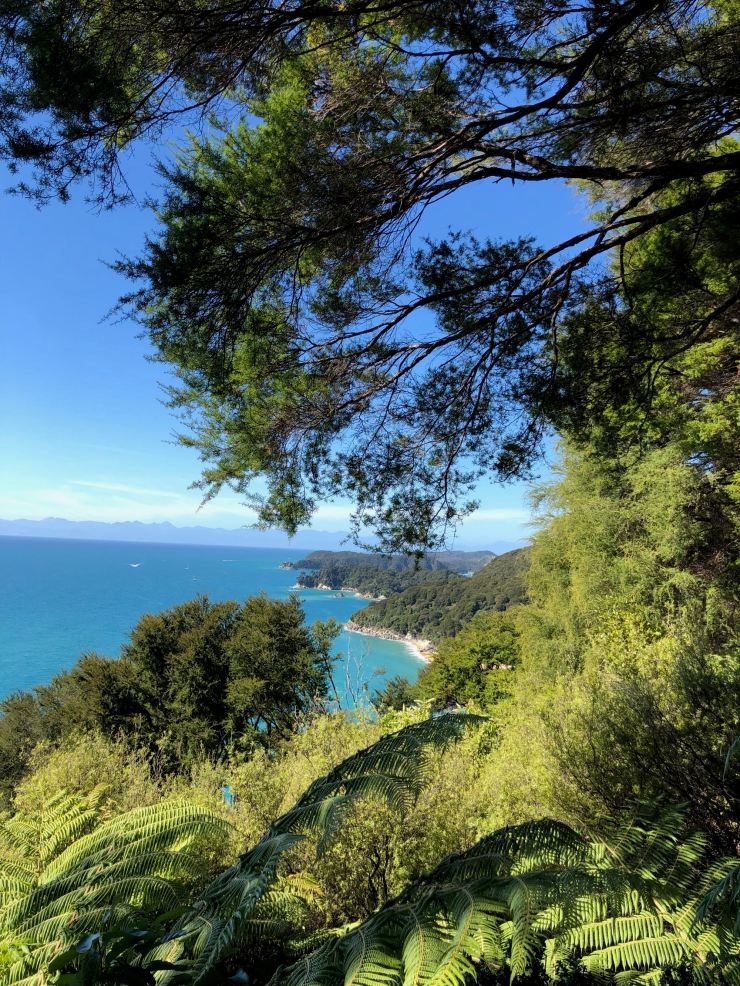 Magnifiques Paysages du parc Abel Tasman - Nouvelle-Zélande