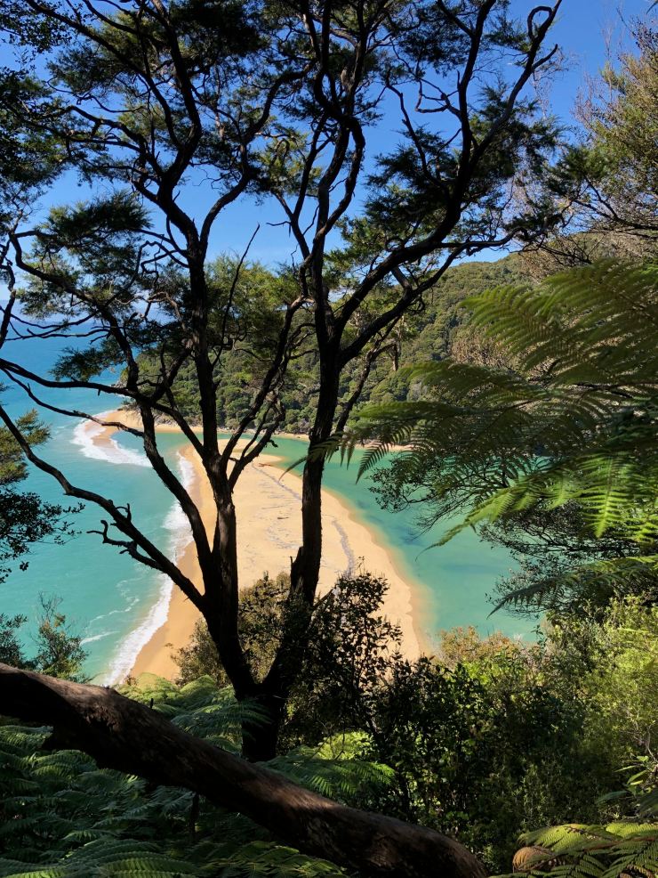 Magnifiques Paysages du parc Abel Tasman - Nouvelle-Zélande