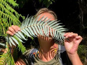 Moi aussi je vous montre la fougère argentée - Parc Abel Tasman - Nouvelle-Zélande