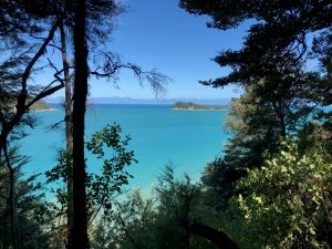 Vue sur la mer turquoise à travers la végétation - Parc Abel Tasman - Nouvelle-Zélande