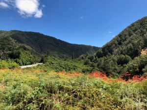 Campagne Néo-Zélandaise autour de la Buller River