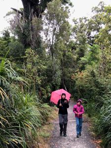 Truman Track - Punakaiki - Nouvelle-Zélande