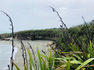 Ce qu'on a pris pour les pancake rocks - Punakaiki - Nouvelle-Zélande