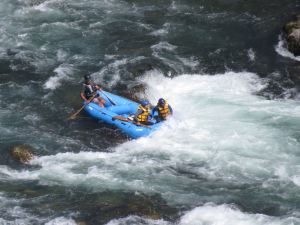 Elle est où Eden ? - Buller River - Rafting - Nouvelle-Zélande