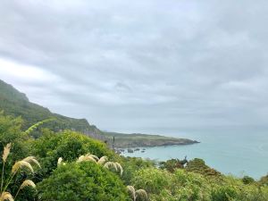 Paysage de la West Coast - Nouvelle-Zélande