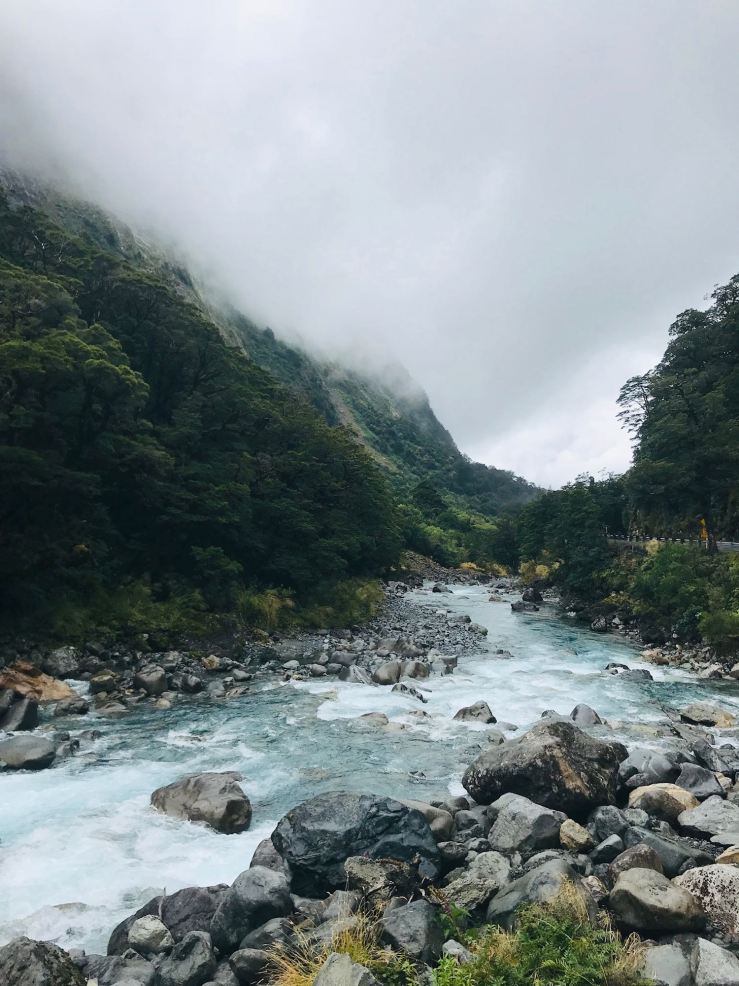 Sur la route vers le Milford Sound - Fjordland - Nouvelle-Zélande