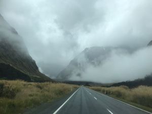 Sur la route du Milford Sound - Fjordland - Nouvelle-Zélande
