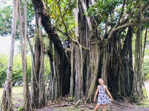 Eden pose sous le banian - Jardin d'eau - Tahiti