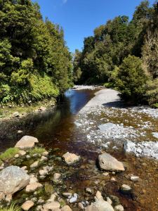 Le long de la Haast Pass Road - Nouvelle-Zélande