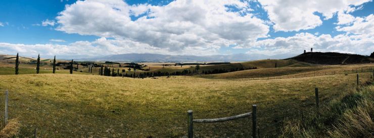 Paysage Néo-Zélandais