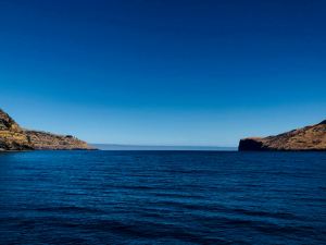 Quand la baie s'ouvre sur la mer - Akaroa - Banks Peninsula - Nouvelle-Zélande