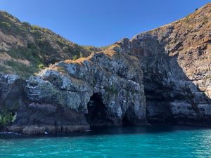 Côte abrupte - Akaroa - Banks Peninsula - Nouvelle-Zélande