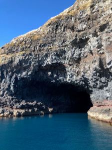Grotte à chauve-souris - Akaroa - Banks Peninsula - Nouvelle-Zélande