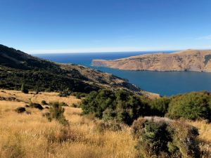 Vue sur la baie - Akaroa - Banks Peninsula - Nouvelle-Zélande