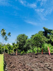 Marae Arahurahu - Tahiti - Polynésie