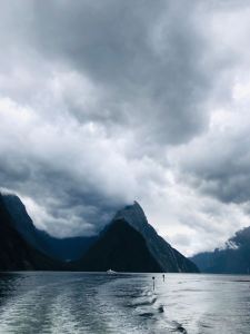 Croisière sur le Milford - Fjordland - Nouvelle-Zélande