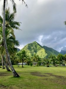 Paysage de Tahiti-Iti - Polynésie