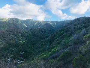 Vallées profondes - Hiva Oa - Iles Marquises - Polynésie