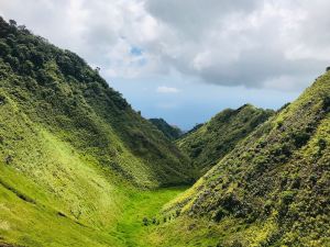 Vallée verdoyante - Nuku Hiva - Iles Marquises - Polynésie