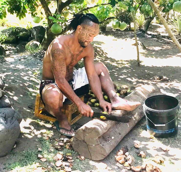 Ouverture des noix - Vallée d'Hakaui - Nuku Hiva - Iles Marquises - Polynésie