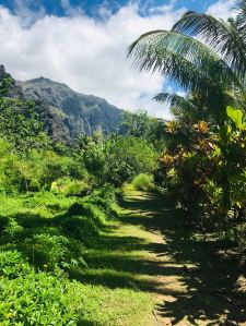 Chemin royal - Vallée d'Hakaui - Nuku Hiva - Iles Marquises - Polynésie