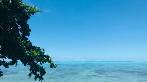 Bleu turquoise vif de la mer - Moorea - Polynésie