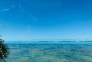 Bleu turquoise vif de la mer - Moorea - Polynésie