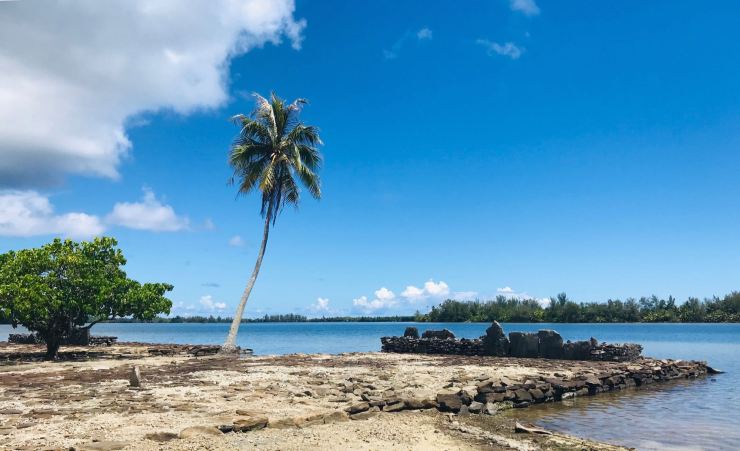 Marae et Palmier- Huahine - Polynésie
