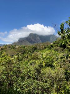 Végétation et sommets - Hiva Oa - Iles Marquises Polynésie