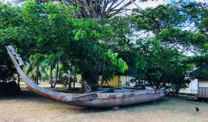 Pirogue dans le jardin du Musée Gauguin - Atuana - Hiva Oa - Iles Marquises - Polynésie
