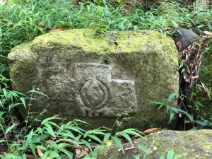 Petropgyphe - Hiva Oa - Iles Marquises - Polynésie