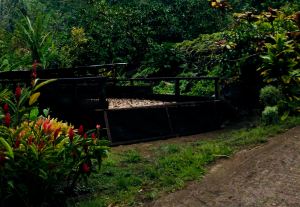 Bac à coprah - Hiva Oa - Iles Marquises - Polynésie