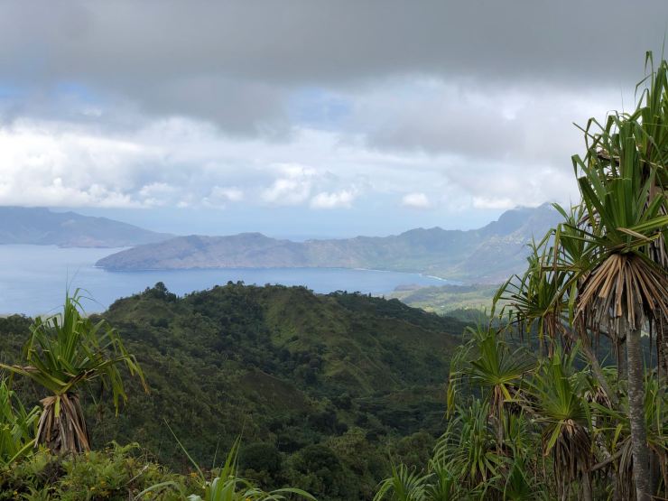 Paysage découpé, végétation et grandes baies - Hiva Oa - Iles Marquises - Polynésie