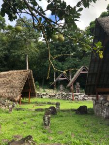 Premiers pas sur le site d'Iipona - Hiva Oa - Iles Marquises - Polynésie