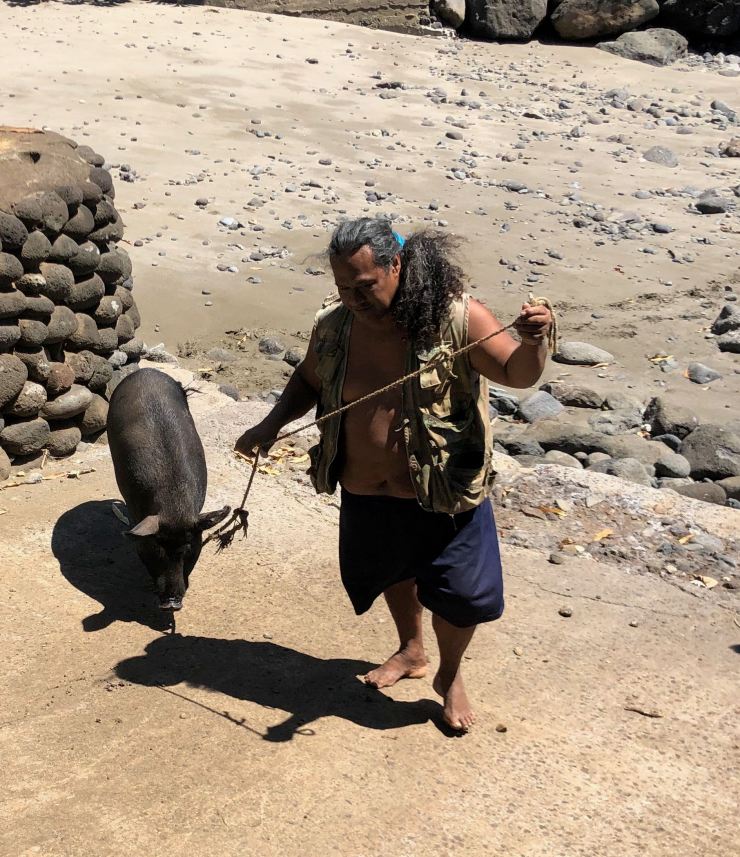 Ici on promène son cochon - Vaitahu - Tahuata - Iles Marquises - Polynésie