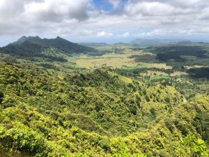 Paysage Marquisien - Sur la route - Nuku Hiva - Iles Marquises - Polynésie