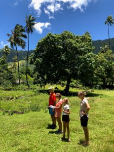 On écoute le guide (du routard) - Dans les sites archéologiques en amont d' Hitaheu - Nuku Hiva - Iles Marquises - Polynésie