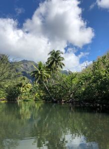 Baie d'Hakaui, nous remontons la rivière - Nuku Hiva - Iles Marquises - Polynésie