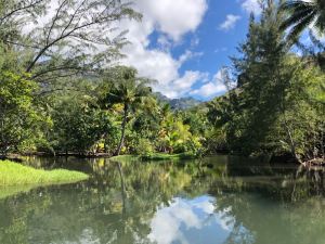 Baie d'Hakaui, nous remontons la rivière - Nuku Hiva - Iles Marquises - Polynésie
