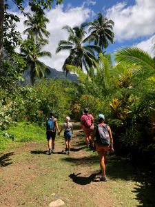 Baie d'Hakaui, nous rentrons dans la vallée par la voie royale - Nuku Hiva - Iles Marquises - Polynésie