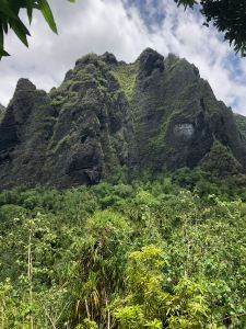 La cascade de Vaipo, hélas asséchée - Vallée d'Hakaui - Nuku Hiva - Iles Marquises - Polynésie