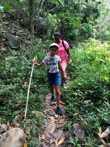 En route vers la cascade de Vaipo - Vallée d'Hakaui - Nuku Hiva - Iles Marquises - Polynésie